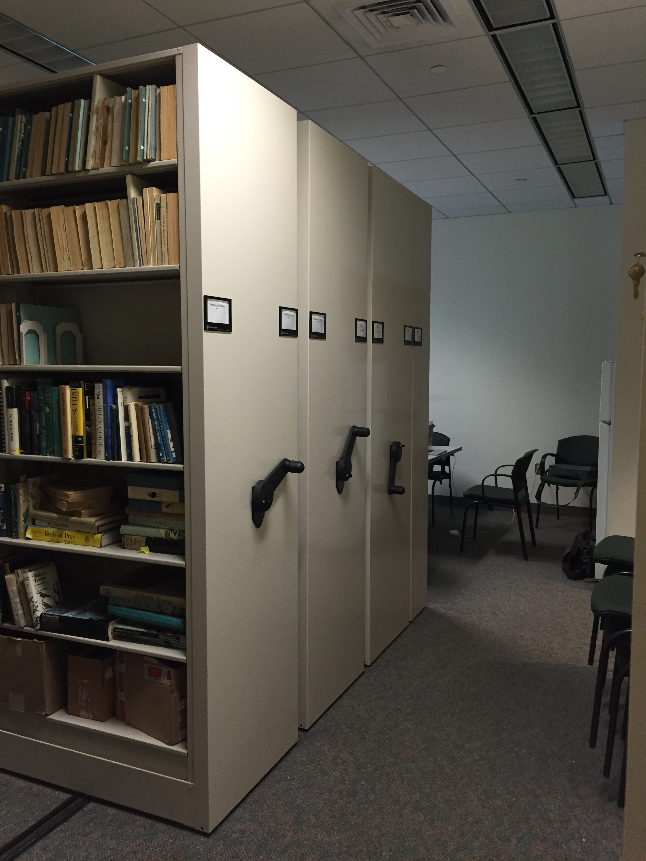 1_Library_view