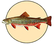 fish_icon