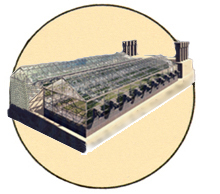 greenhouse