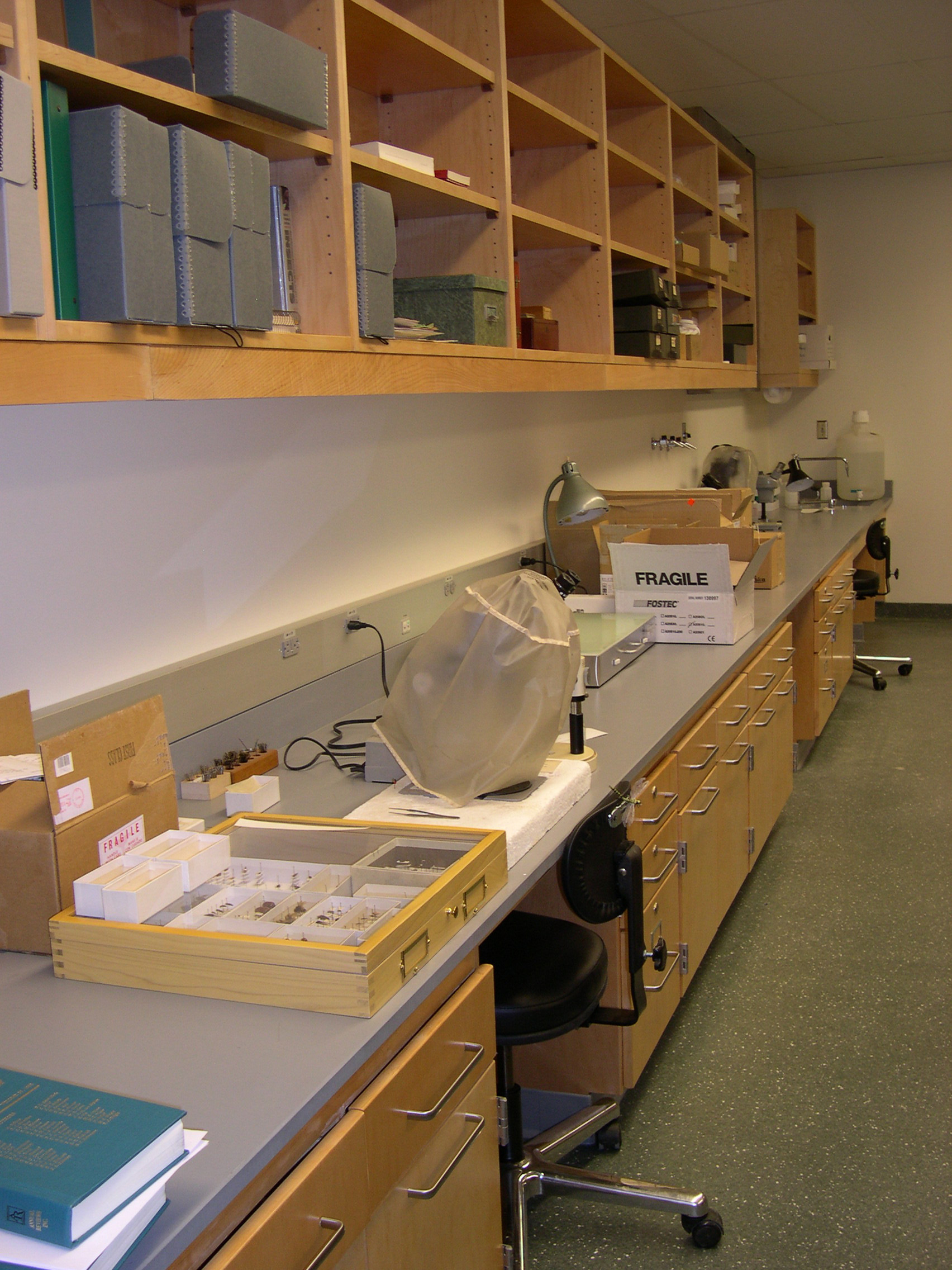 1_main_prep_west_counter