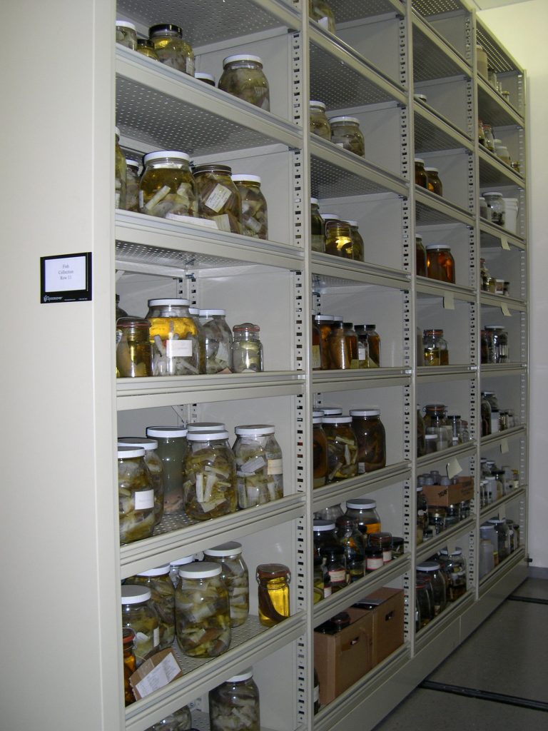 Wet room specimen