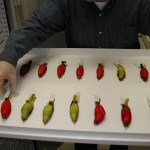 5_tanagers