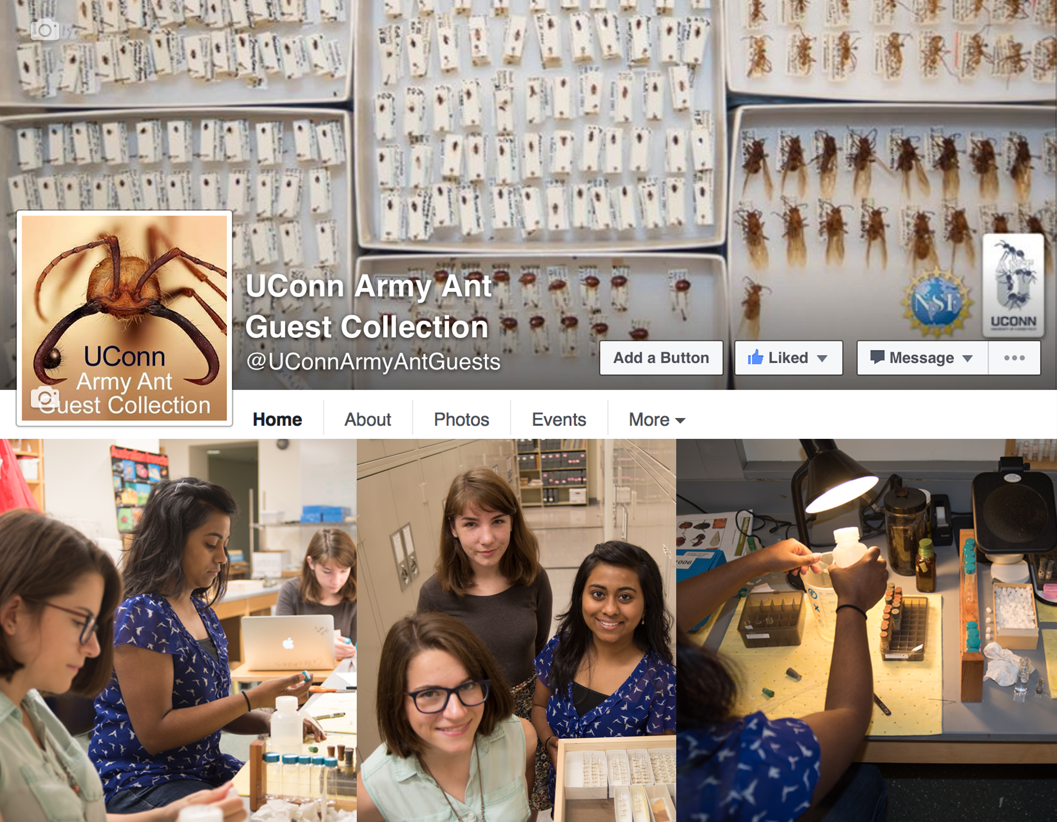 AAGC_FB_Image_NewsLetter
