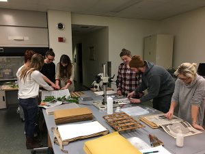 College students putting plants in herbarium presses.