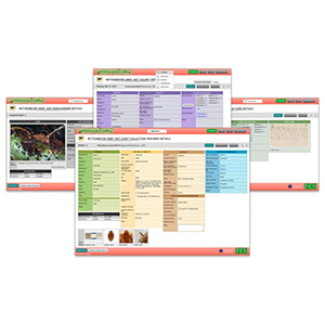 Link to AAGC Databases