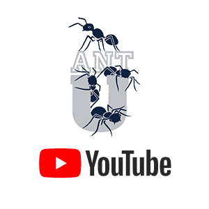 Link to the videos on YouTube featuring AntU activities