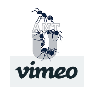 Link to the Vimeo page with AntU videos