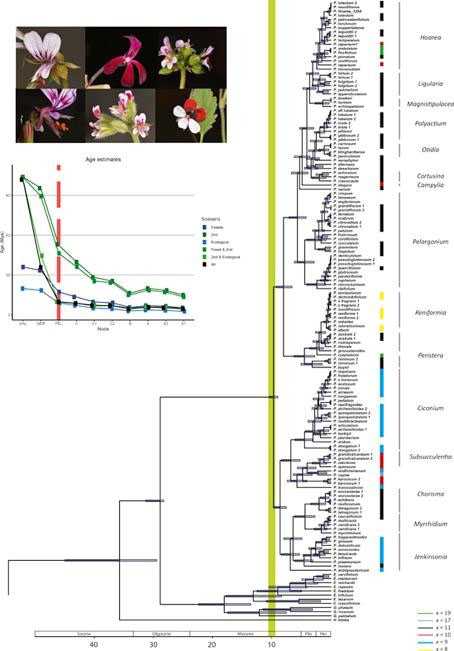 Graphical abstract of study