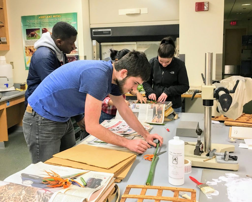 Making herbarium specimen
