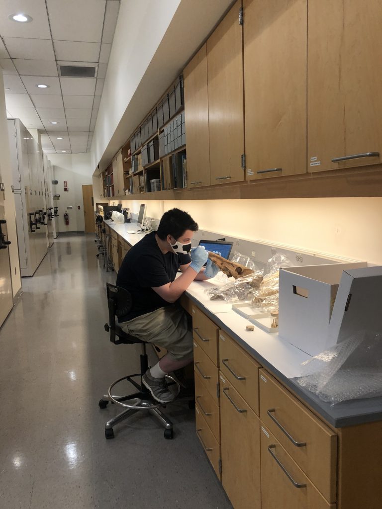Working in dry room