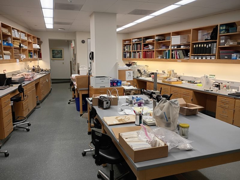 Prep Area
