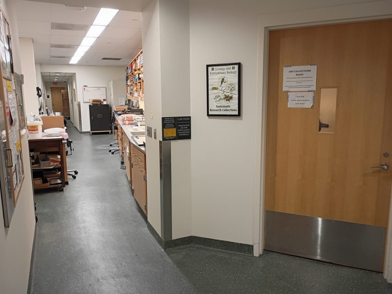 Entrance to BRC